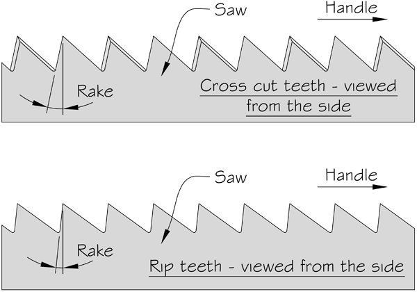 teeth